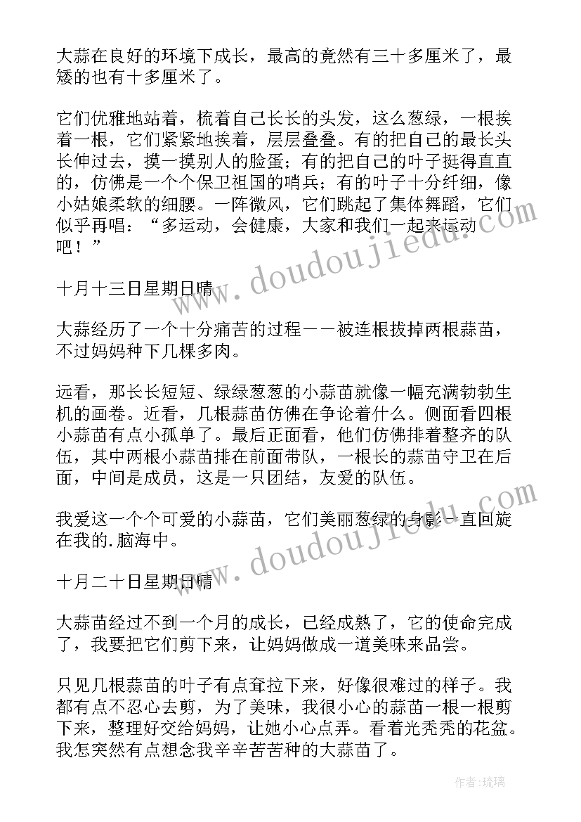 2023年观察种植大蒜成长日记(汇总8篇)