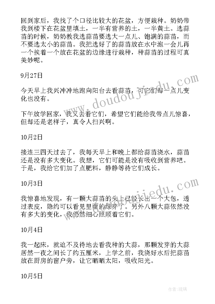 2023年观察种植大蒜成长日记(汇总8篇)