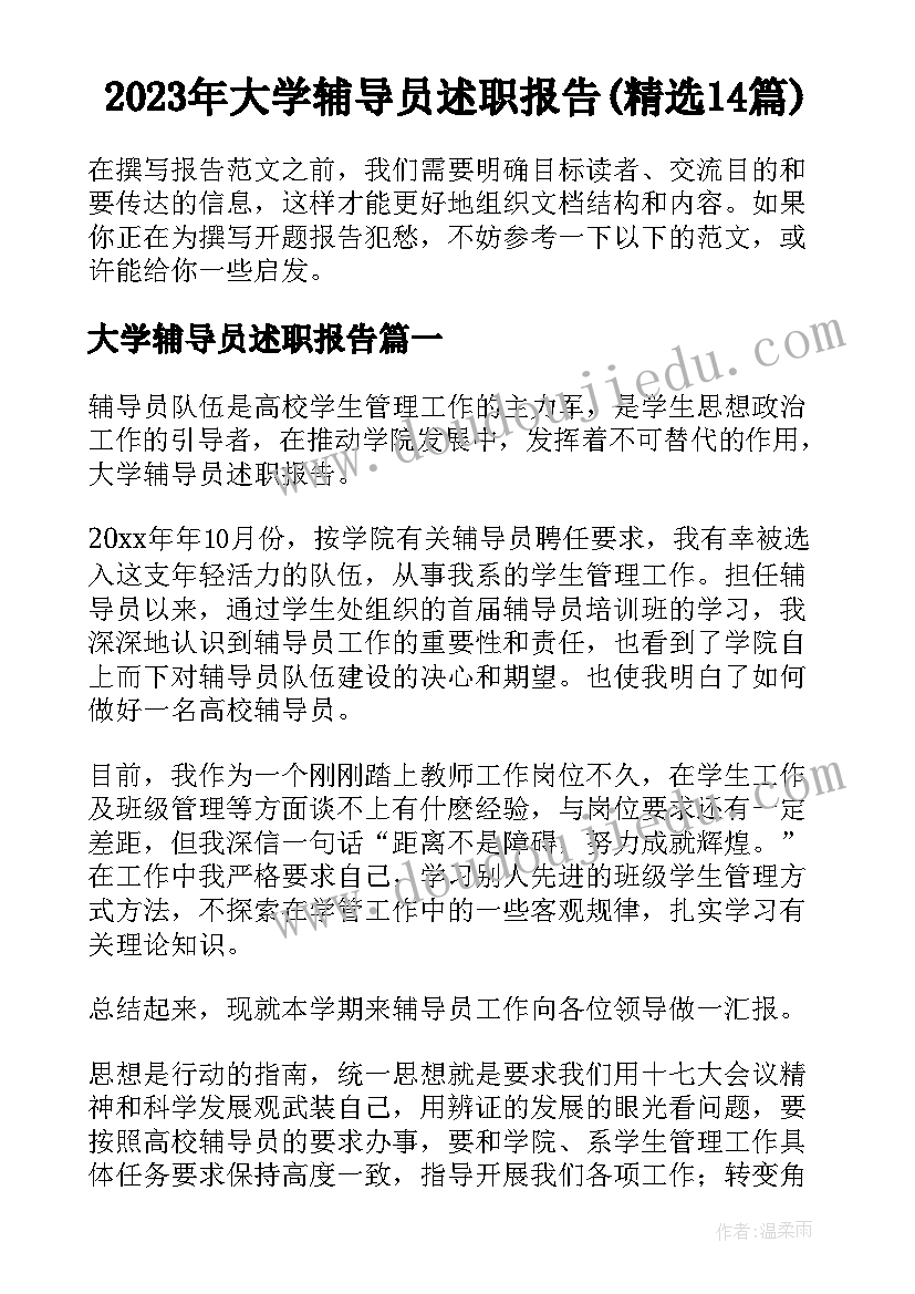 2023年大学辅导员述职报告(精选14篇)