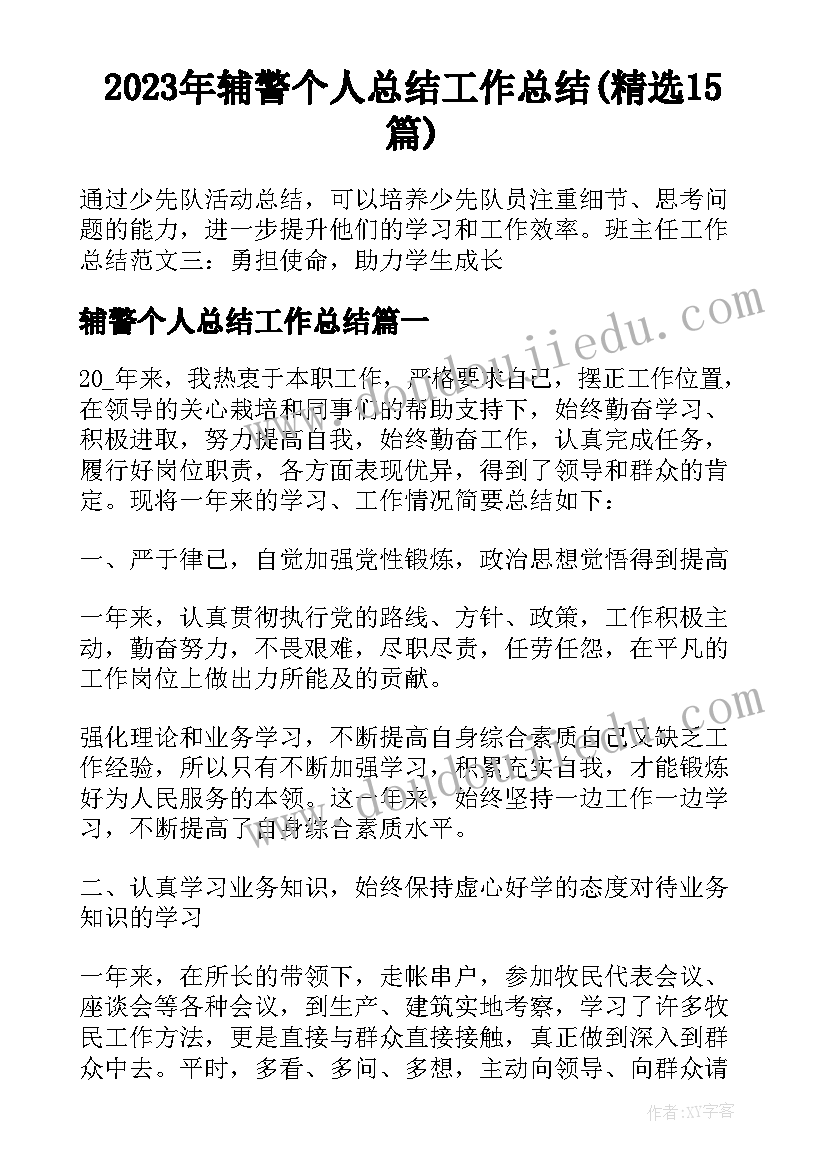 2023年辅警个人总结工作总结(精选15篇)