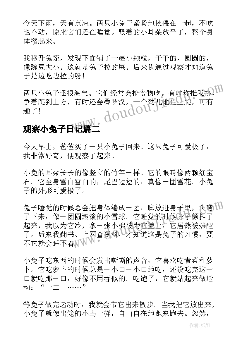 最新观察小兔子日记(通用8篇)