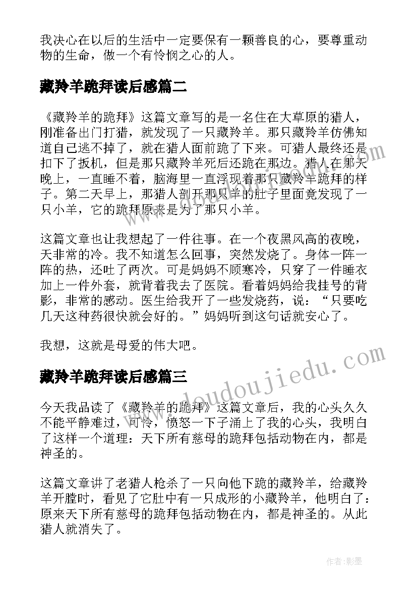 最新藏羚羊跪拜读后感(优质19篇)