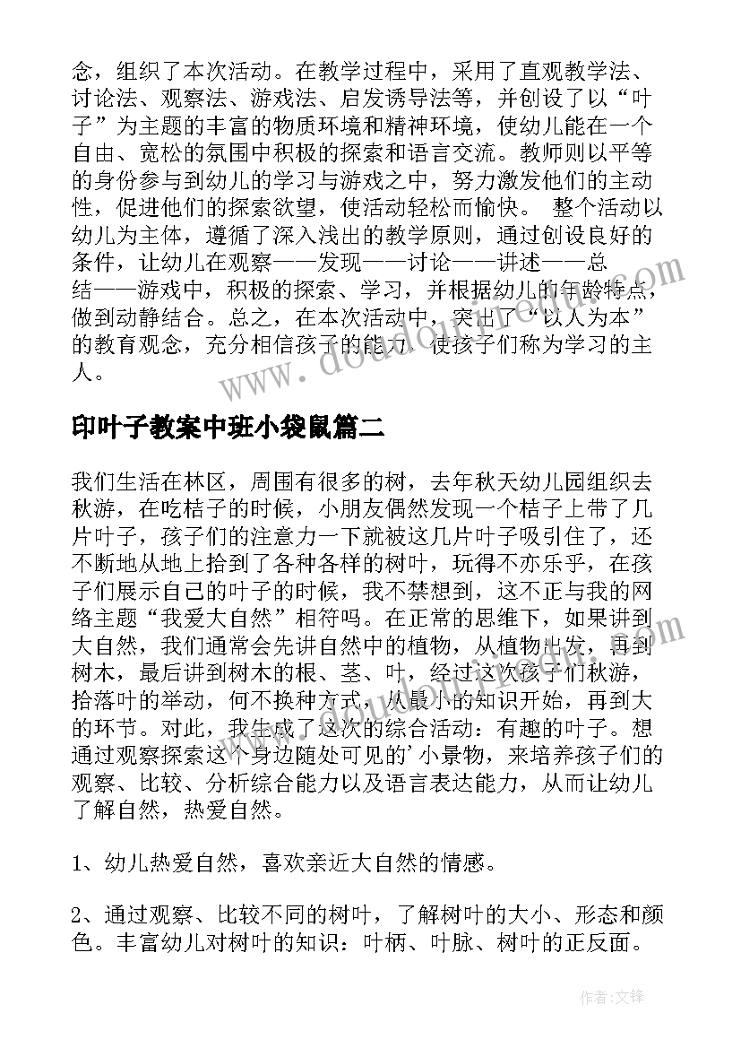 印叶子教案中班小袋鼠(精选15篇)