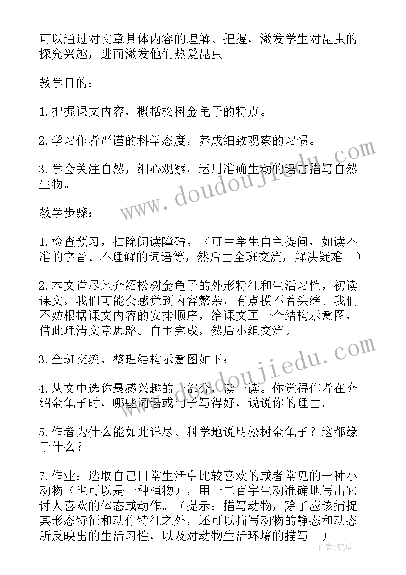 2023年松树教案活动目标(大全8篇)