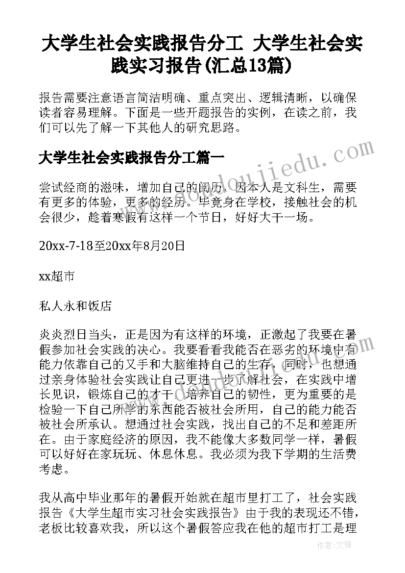 大学生社会实践报告分工 大学生社会实践实习报告(汇总13篇)