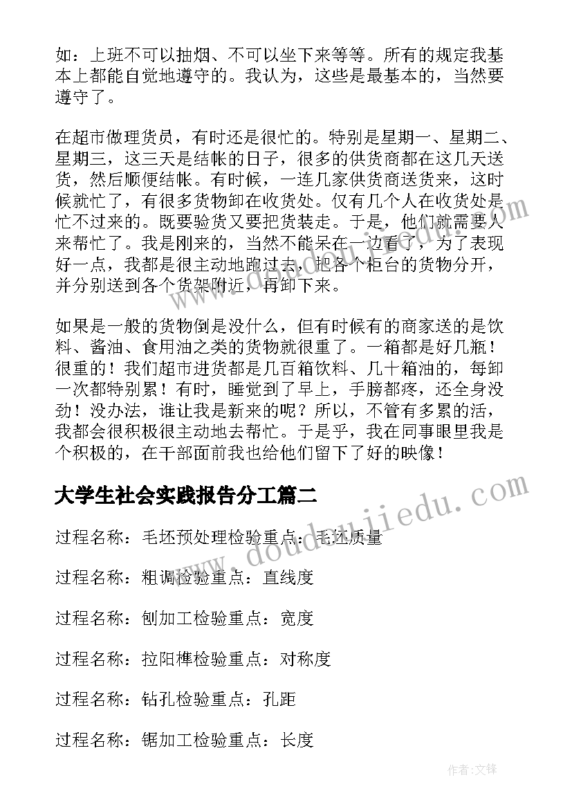 大学生社会实践报告分工 大学生社会实践实习报告(汇总13篇)