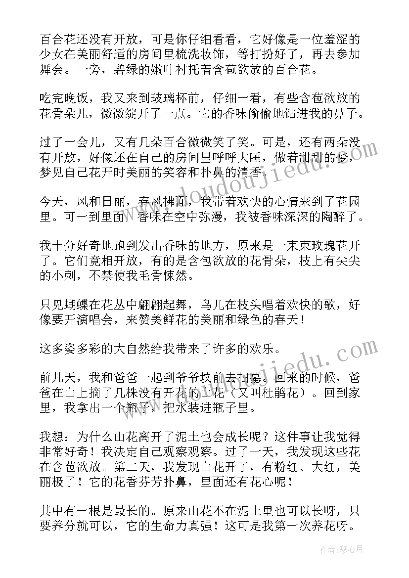 一年级观察日记(优秀8篇)