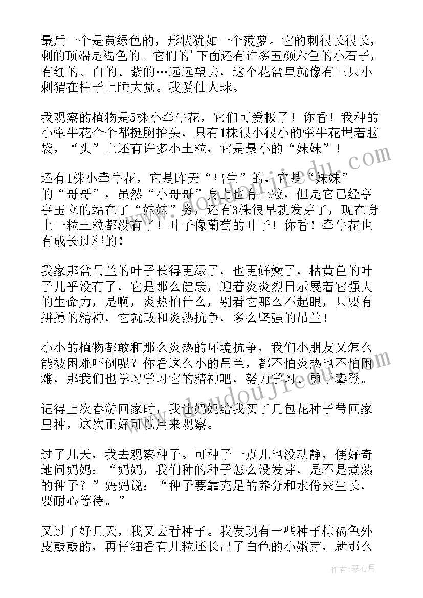 一年级观察日记(优秀8篇)