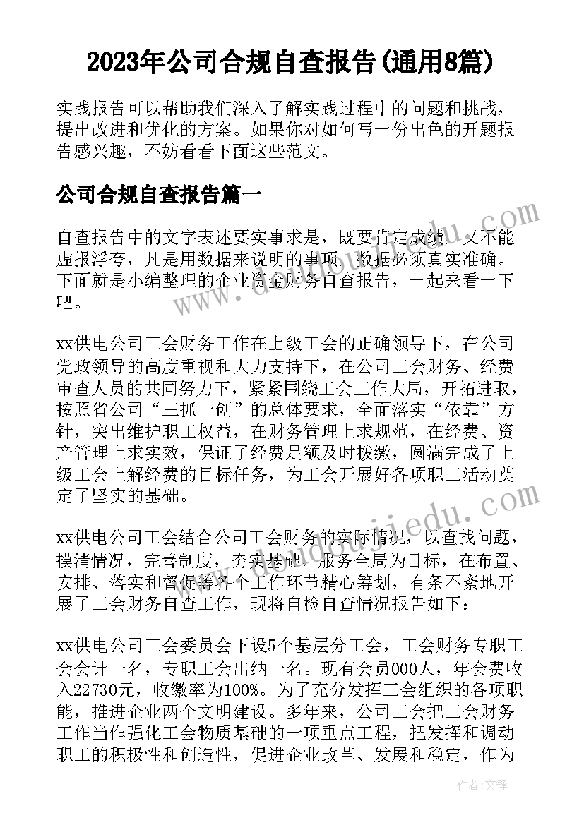 2023年公司合规自查报告(通用8篇)