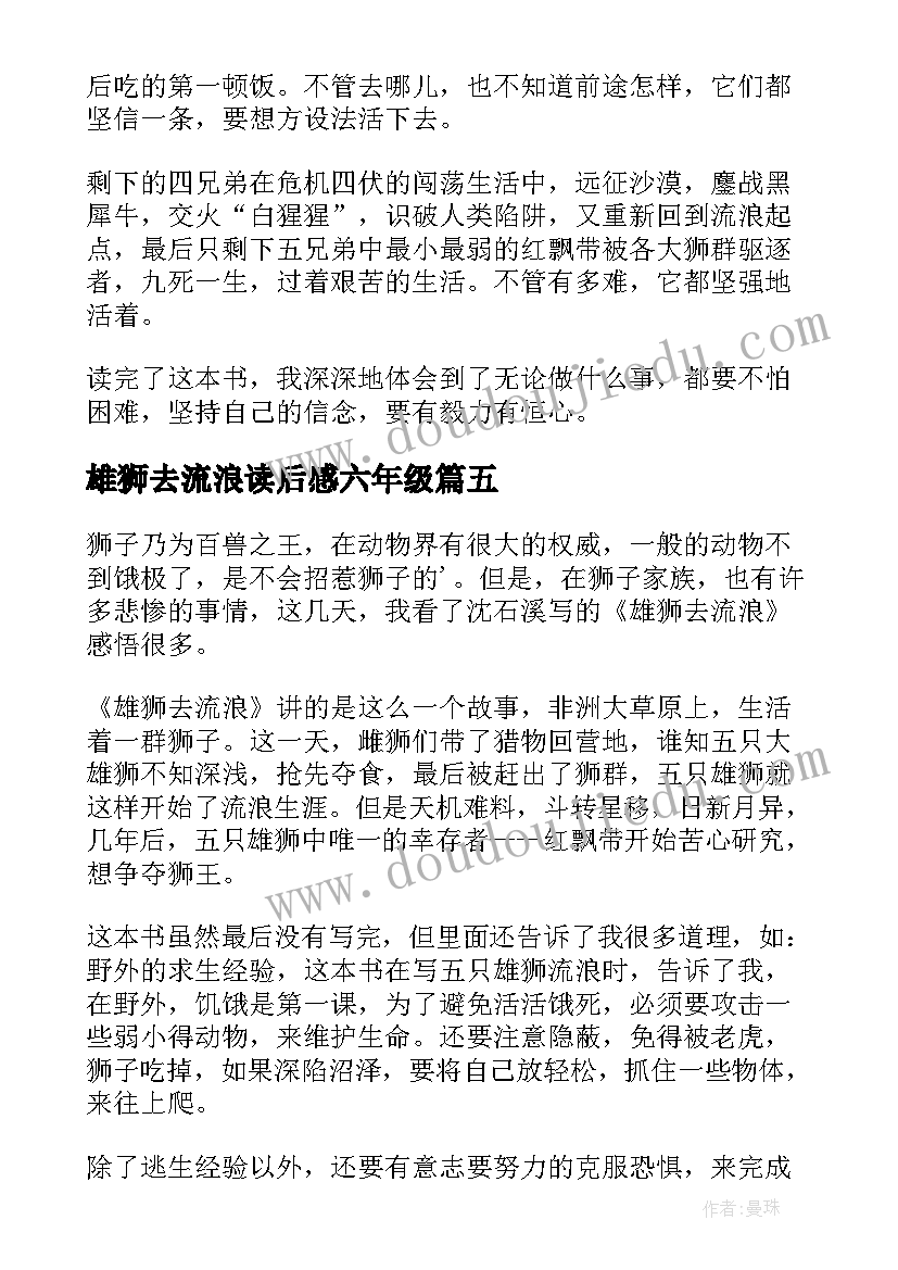 2023年雄狮去流浪读后感六年级 雄狮去流浪读后感(优质18篇)