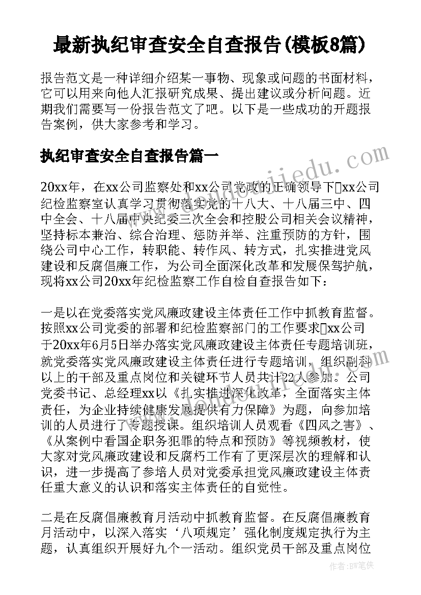 最新执纪审查安全自查报告(模板8篇)