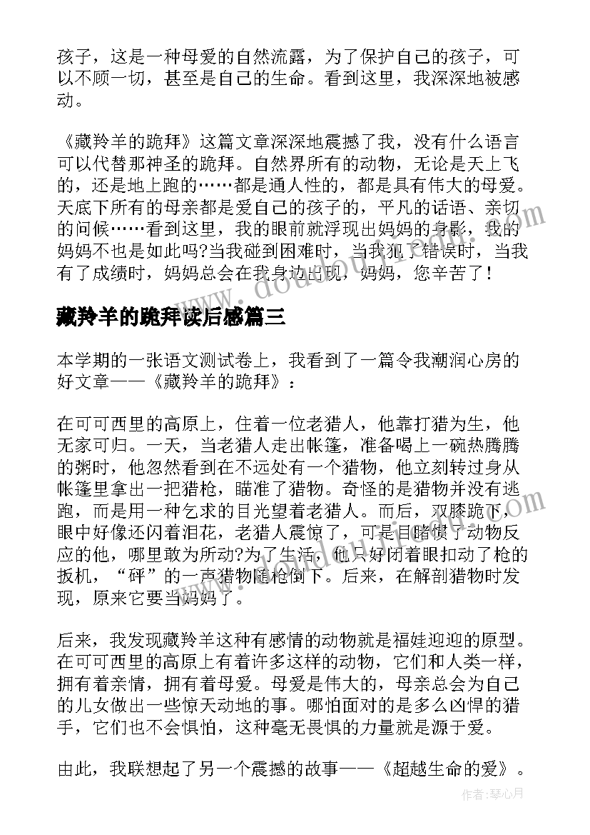 2023年藏羚羊的跪拜读后感(大全5篇)