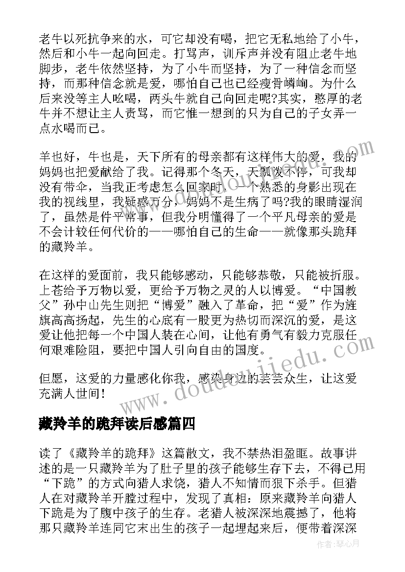 2023年藏羚羊的跪拜读后感(大全5篇)