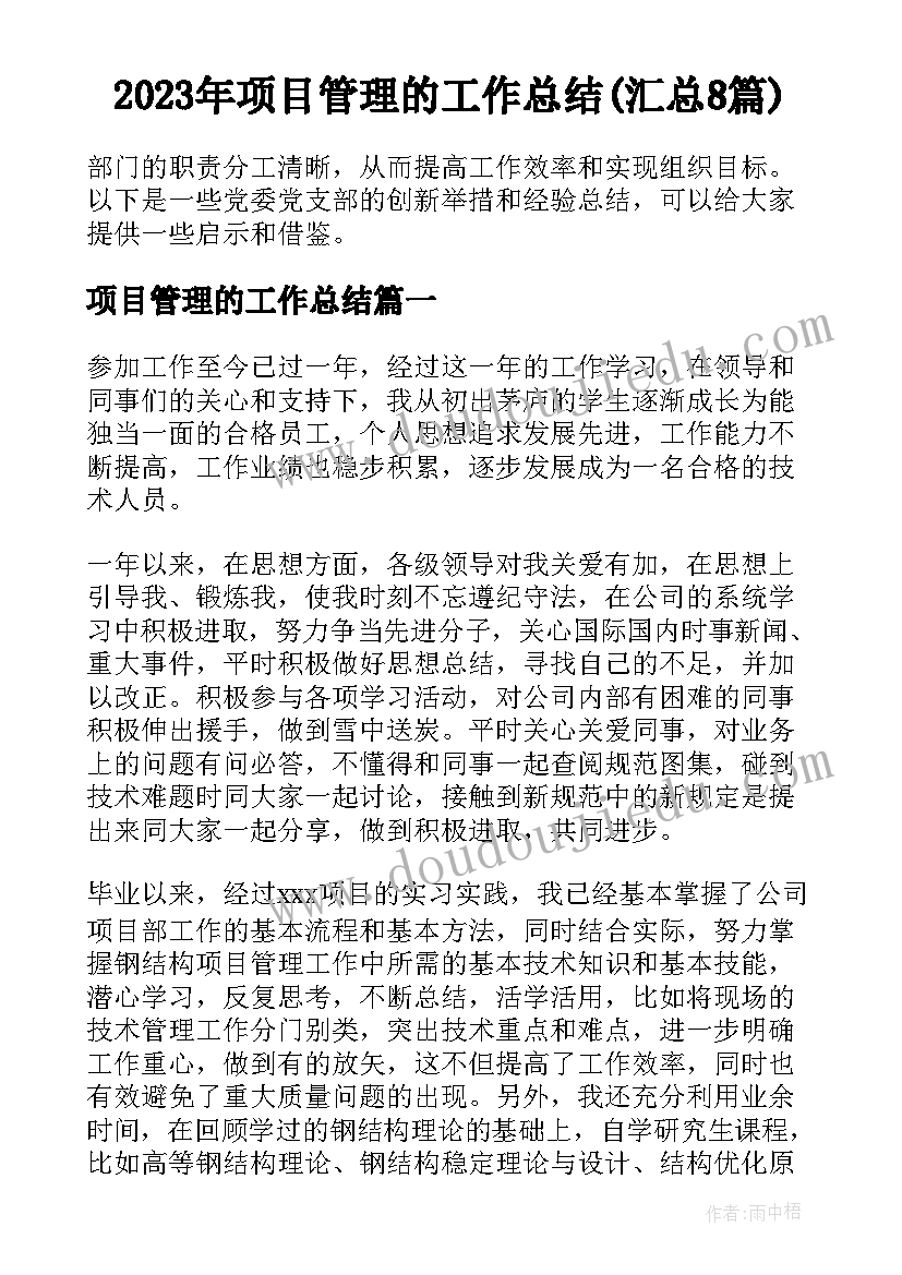 2023年项目管理的工作总结(汇总8篇)