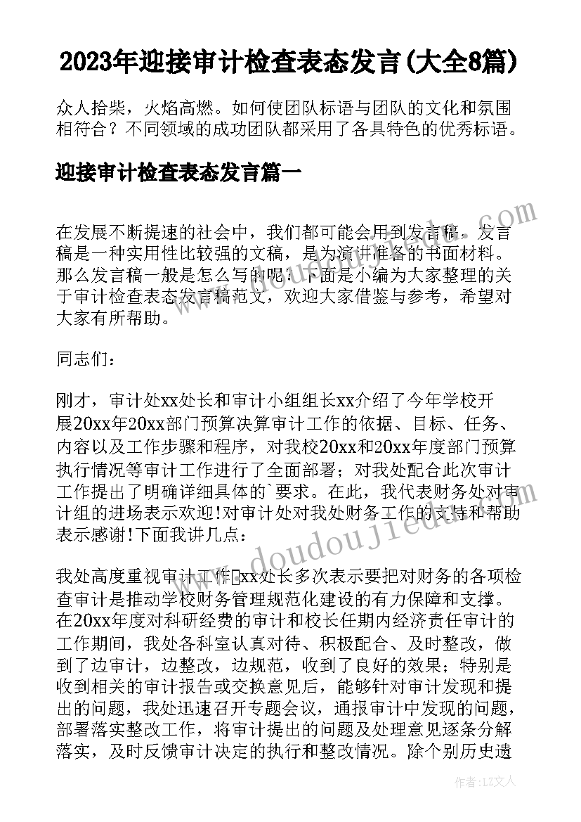 2023年迎接审计检查表态发言(大全8篇)