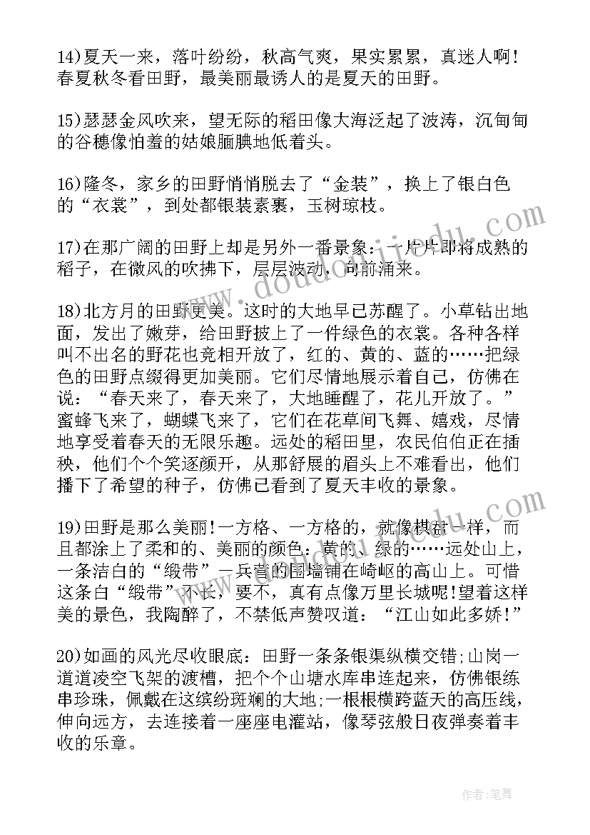 2023年如何写调查报告及个人总结(优质16篇)