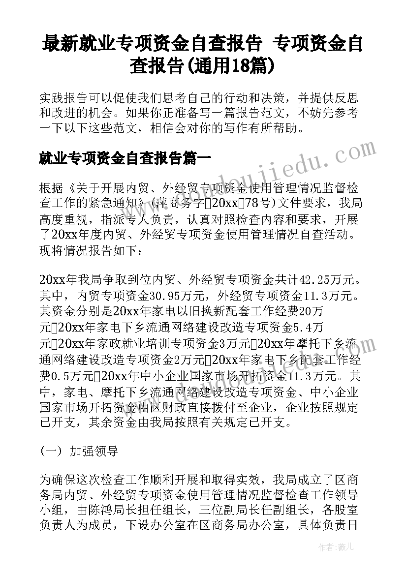 最新就业专项资金自查报告 专项资金自查报告(通用18篇)