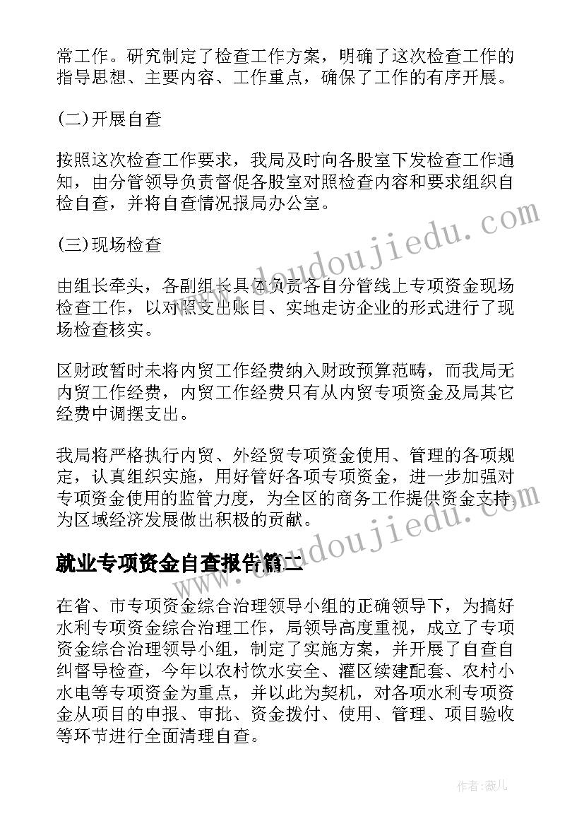 最新就业专项资金自查报告 专项资金自查报告(通用18篇)