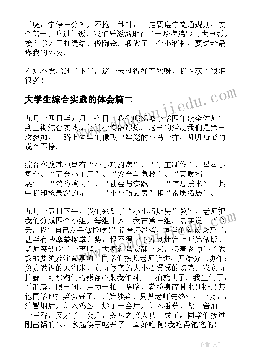 2023年大学生综合实践的体会(模板11篇)