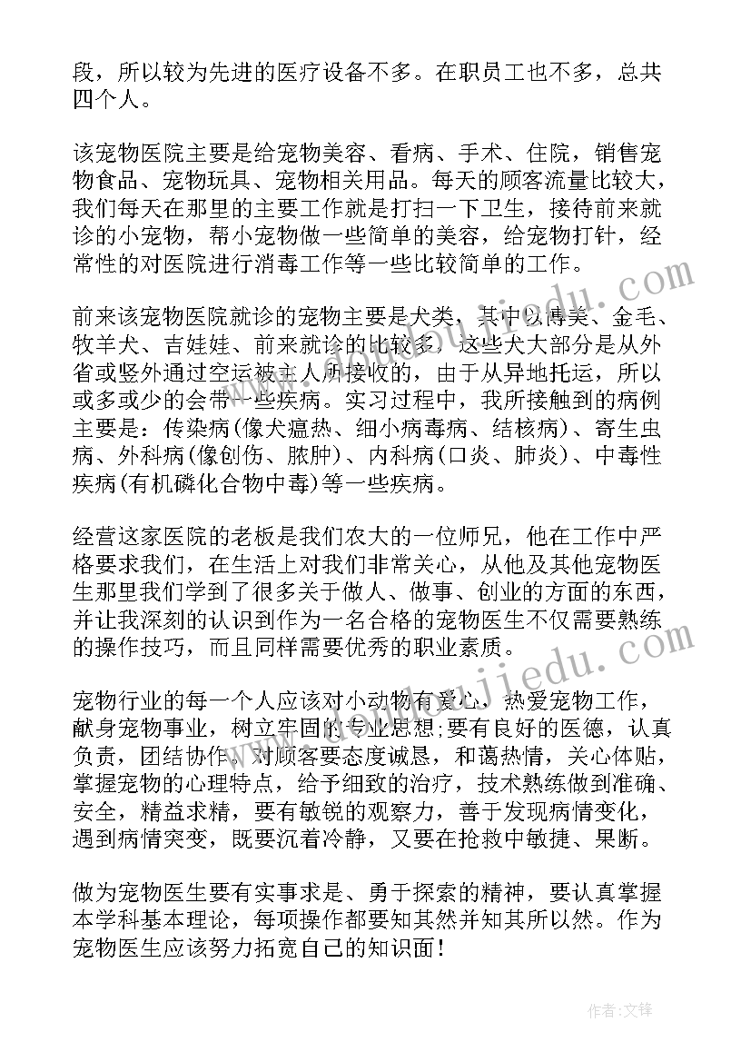 假期护士实践报告(精选8篇)