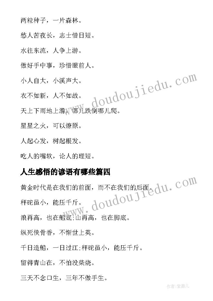 2023年人生感悟的谚语有哪些 人生感悟的谚语(通用8篇)