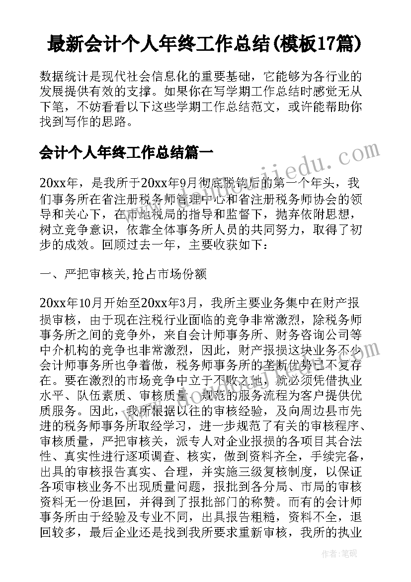 最新会计个人年终工作总结(模板17篇)