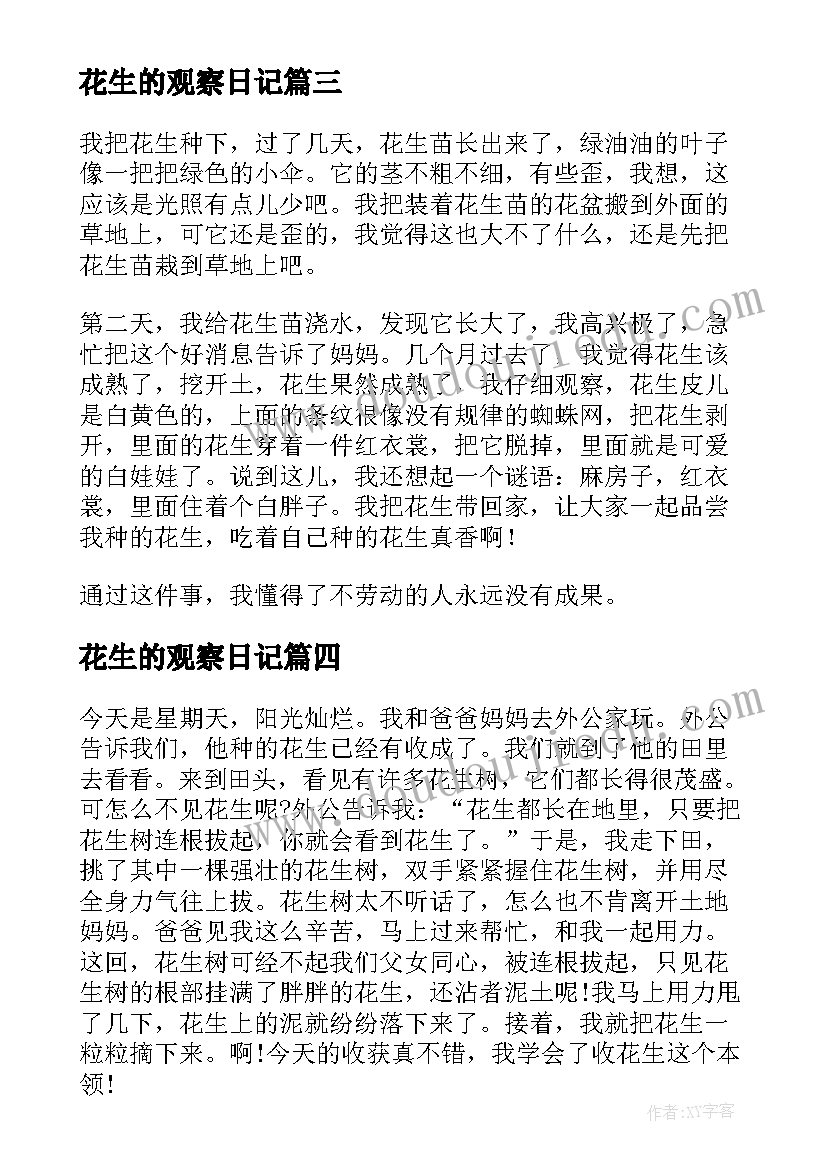 2023年花生的观察日记(汇总13篇)