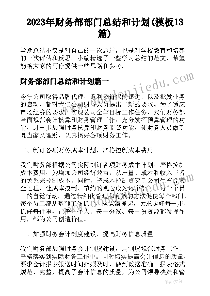 2023年财务部部门总结和计划(模板13篇)