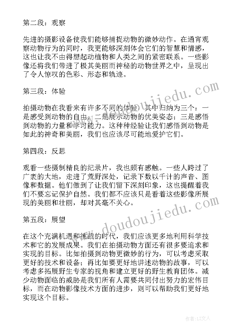 动物和动物 动物影像心得体会(模板8篇)