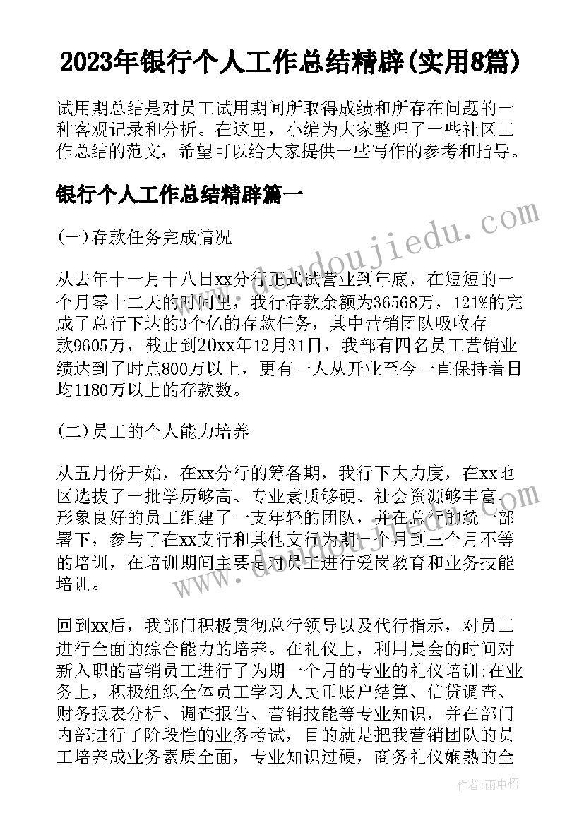 2023年银行个人工作总结精辟(实用8篇)