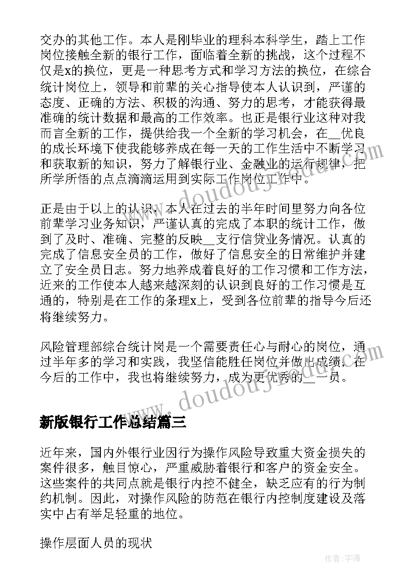 2023年新版银行工作总结(汇总7篇)