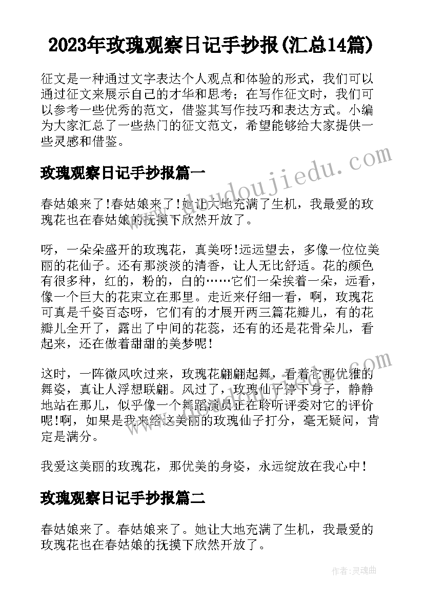 2023年玫瑰观察日记手抄报(汇总14篇)