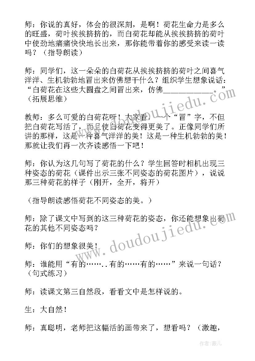 最新荷花教学反思三年级(实用19篇)