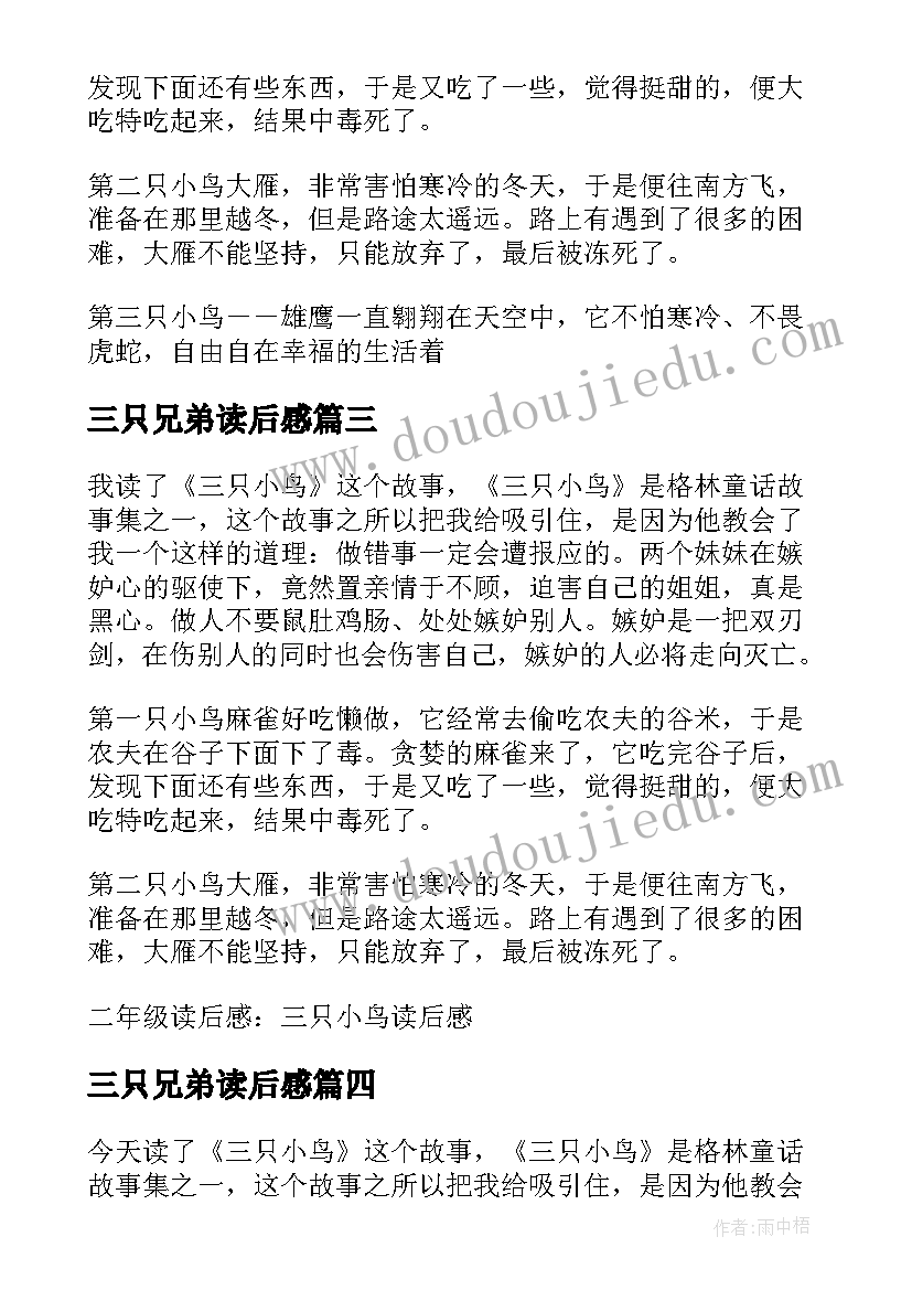 2023年三只兄弟读后感 三只小鸟读后感(大全9篇)