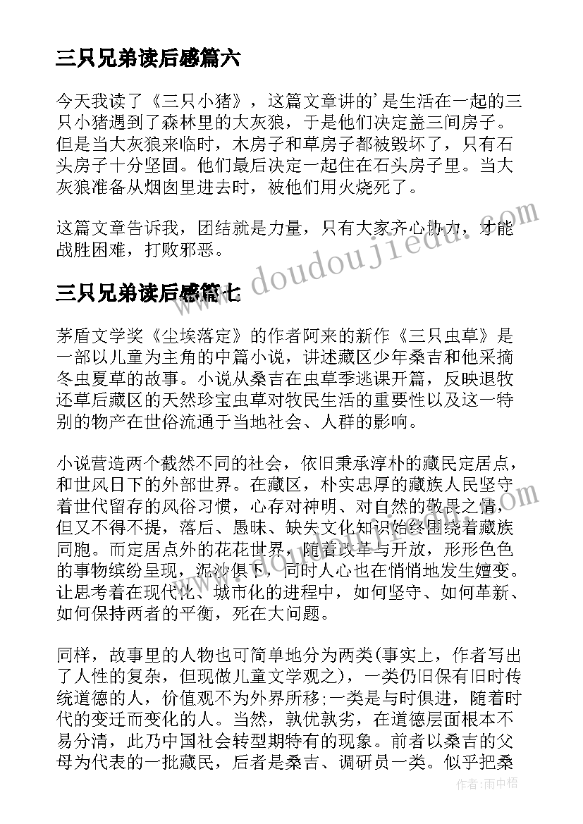 2023年三只兄弟读后感 三只小鸟读后感(大全9篇)