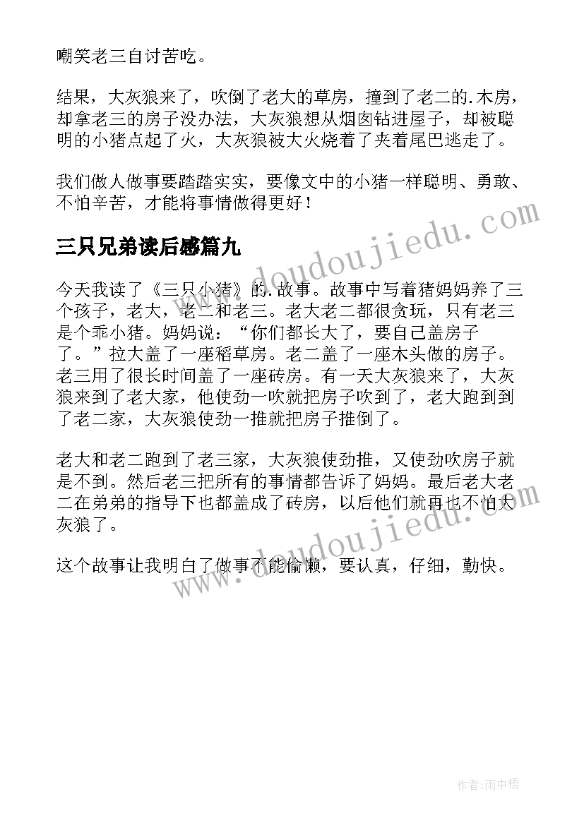 2023年三只兄弟读后感 三只小鸟读后感(大全9篇)