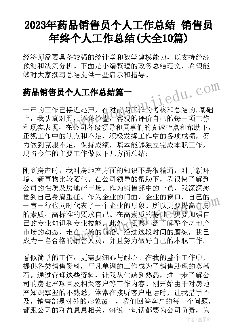 2023年药品销售员个人工作总结 销售员年终个人工作总结(大全10篇)