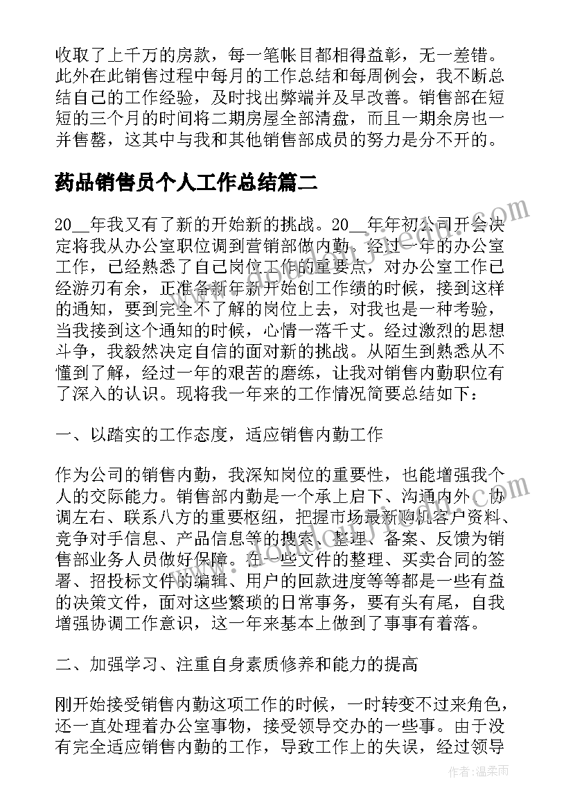 2023年药品销售员个人工作总结 销售员年终个人工作总结(大全10篇)