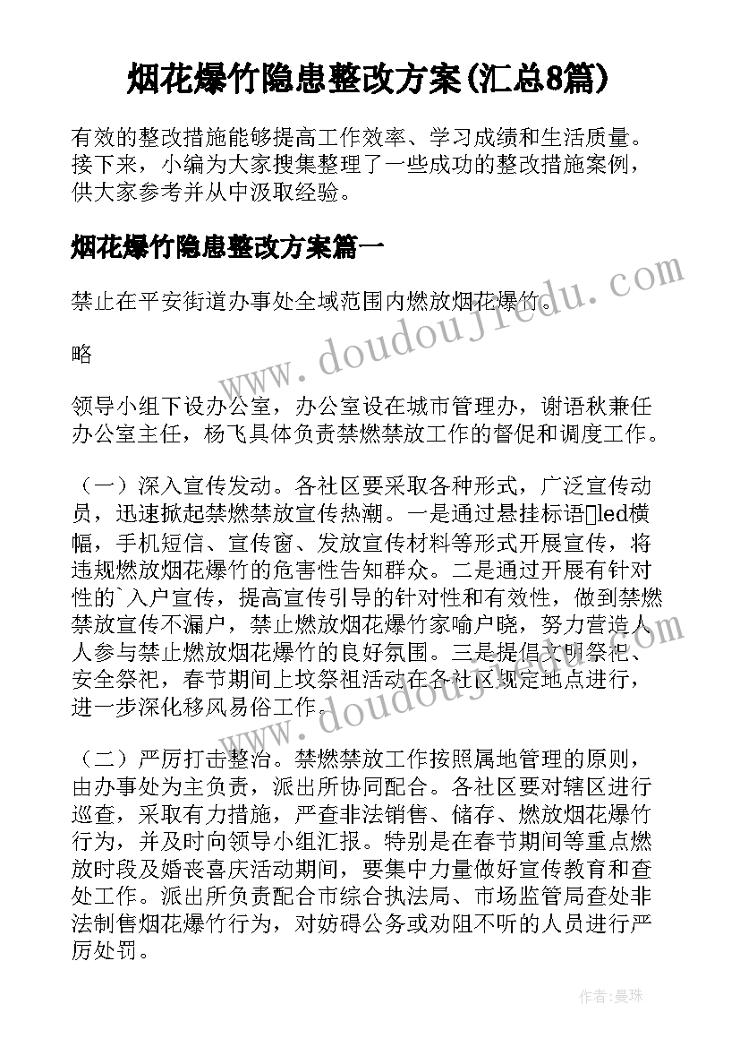 烟花爆竹隐患整改方案(汇总8篇)