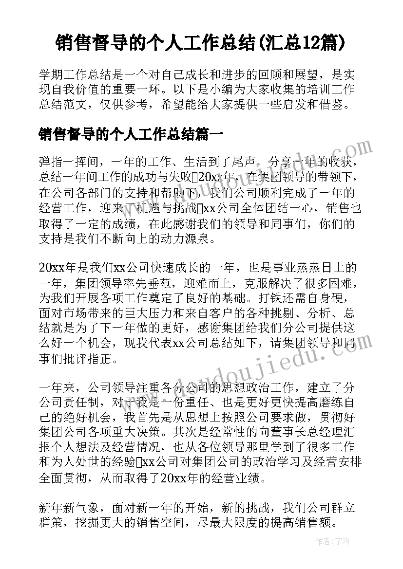 销售督导的个人工作总结(汇总12篇)