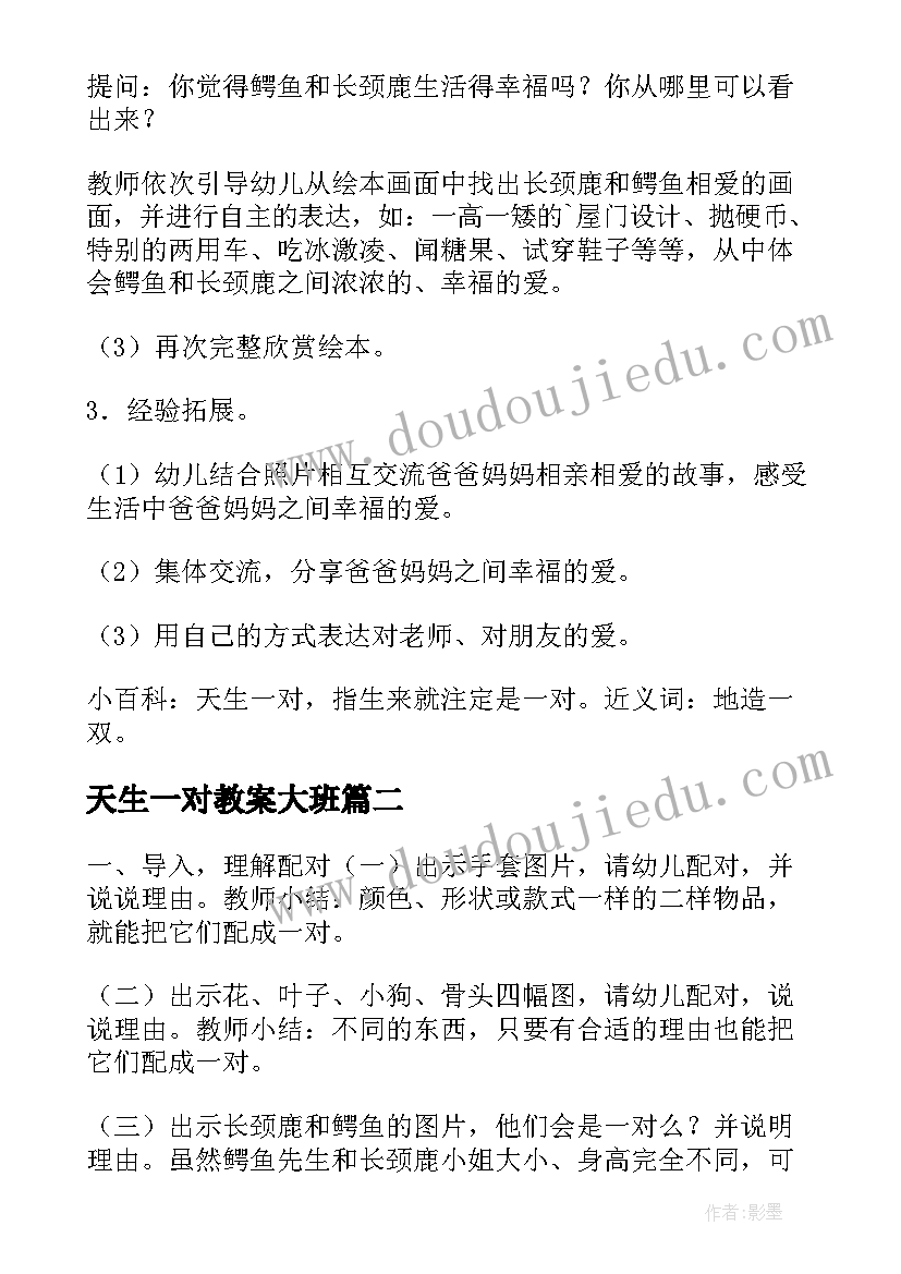 2023年天生一对教案大班(汇总8篇)