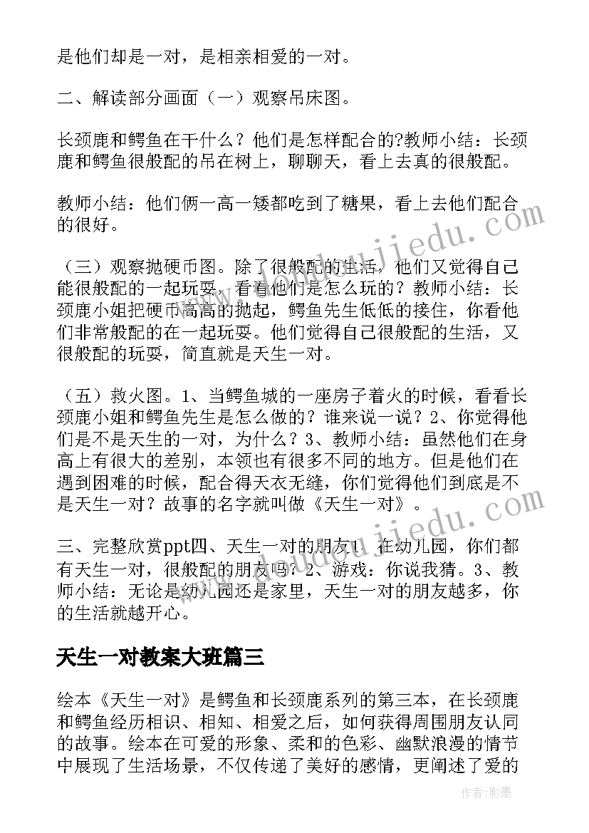 2023年天生一对教案大班(汇总8篇)