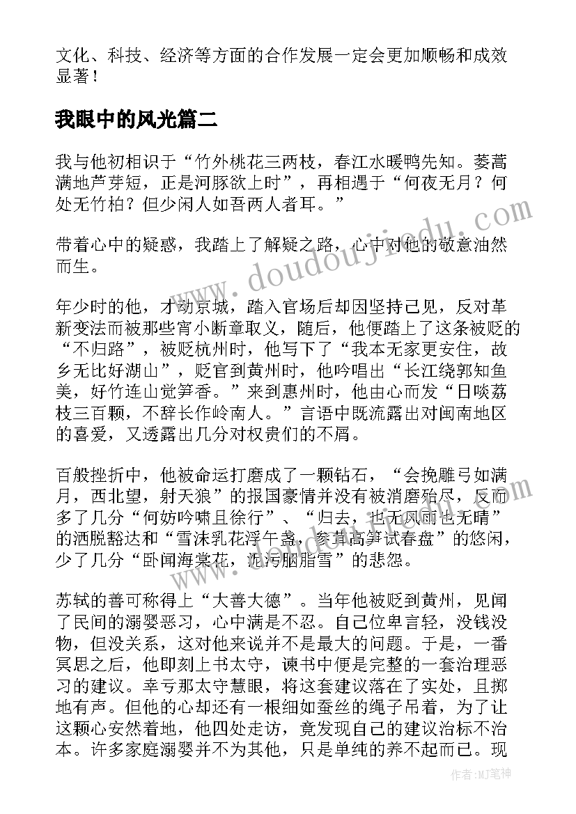 我眼中的风光 我眼中的冬奥心得体会(优秀11篇)