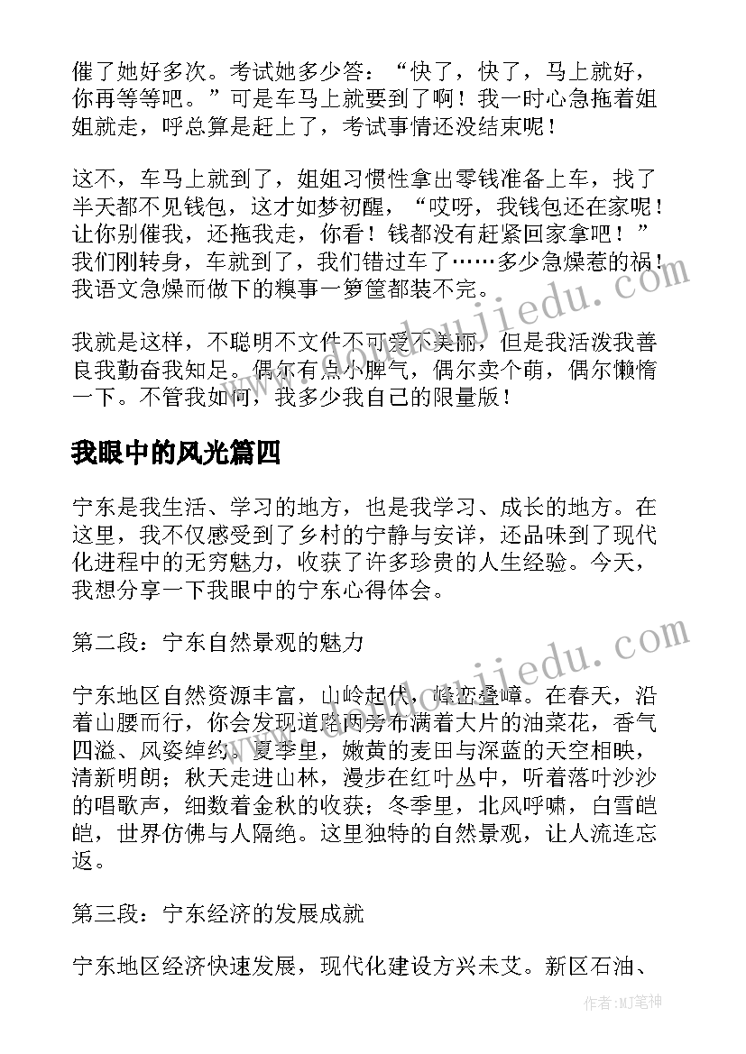 我眼中的风光 我眼中的冬奥心得体会(优秀11篇)