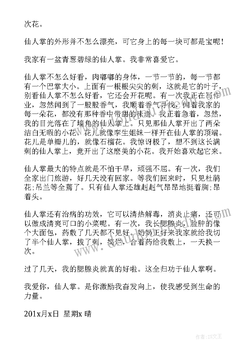 仙人掌三年级 三年级仙人掌的日记(优质11篇)