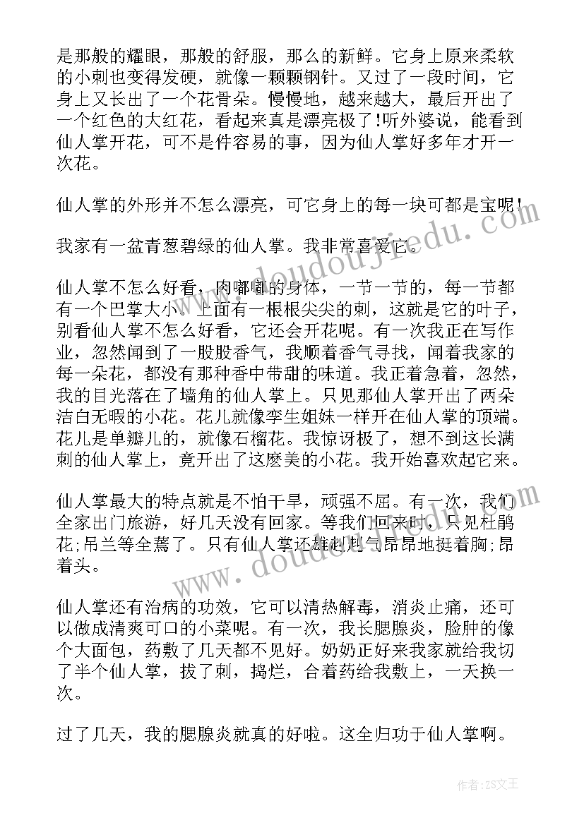 仙人掌三年级 三年级仙人掌的日记(优质11篇)