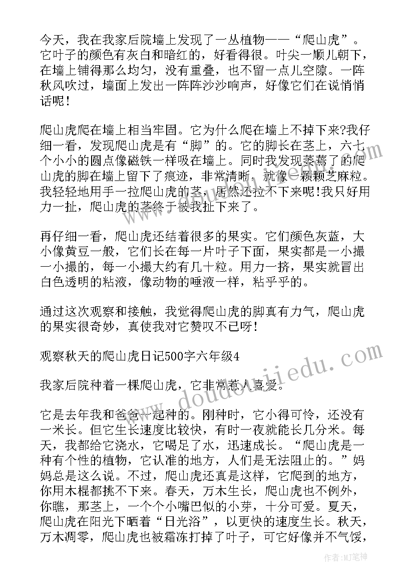 2023年小学四年级观察日记秋天的树叶 小学六年级秋天观察的日记(优质8篇)