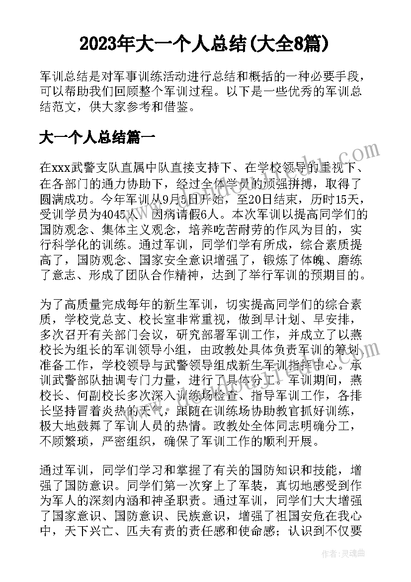 2023年大一个人总结(大全8篇)