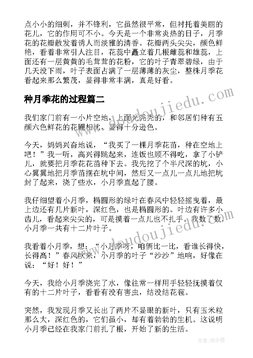 最新种月季花的过程 月季花的观察日记(大全8篇)