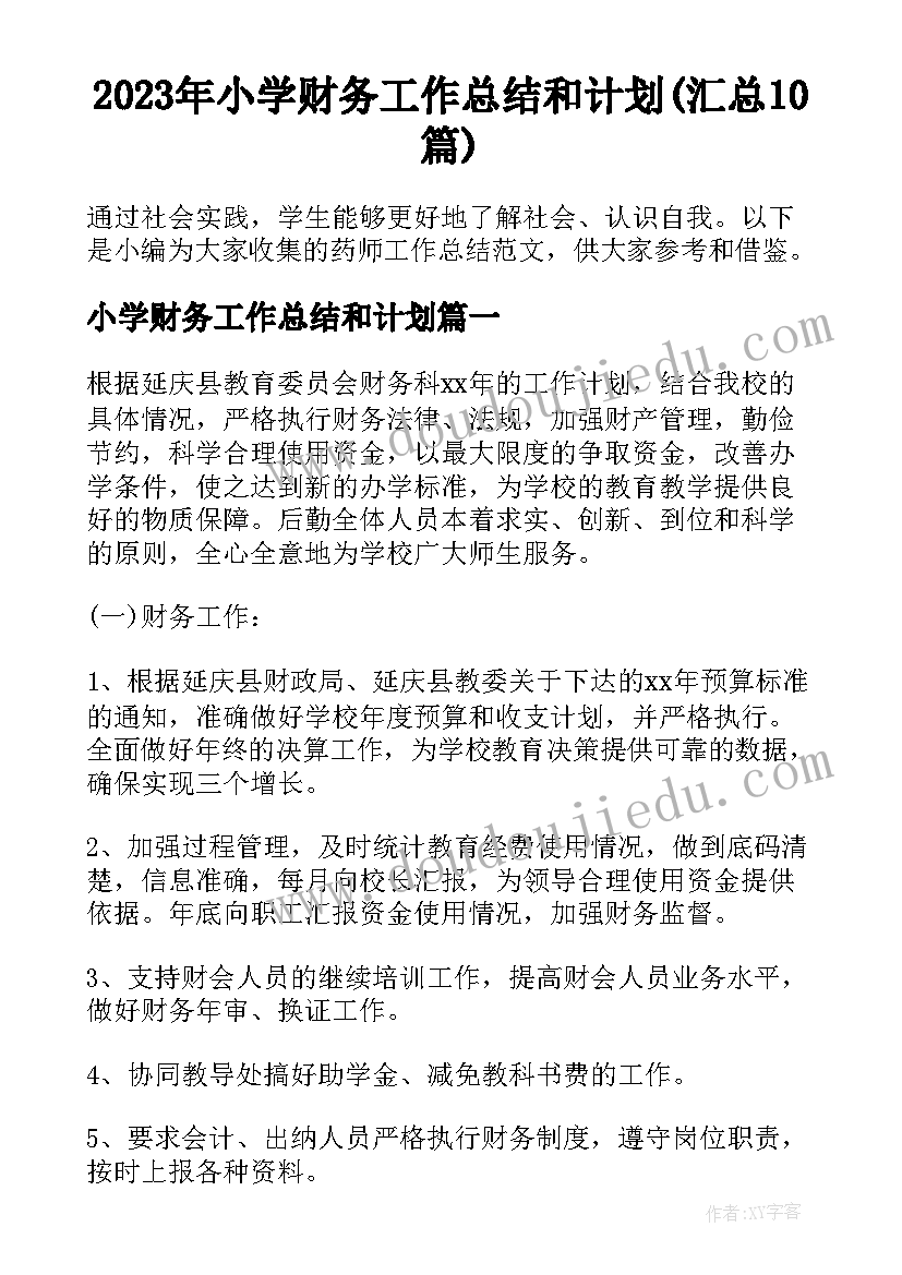 2023年小学财务工作总结和计划(汇总10篇)